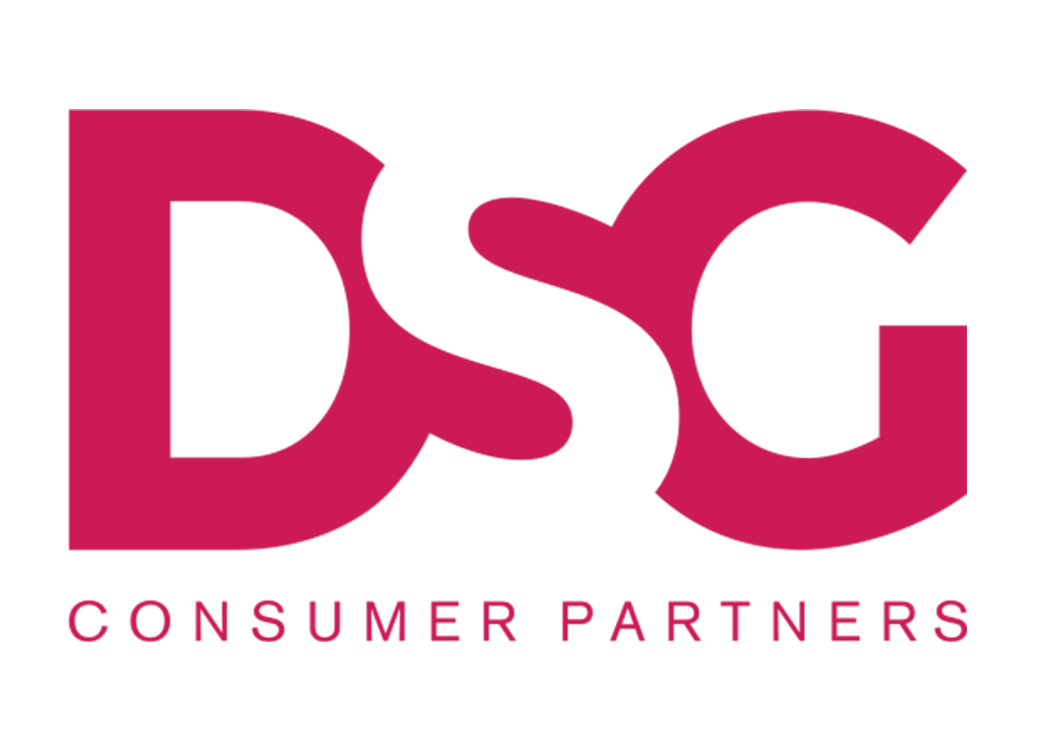 DSG Consumer Partners Logo