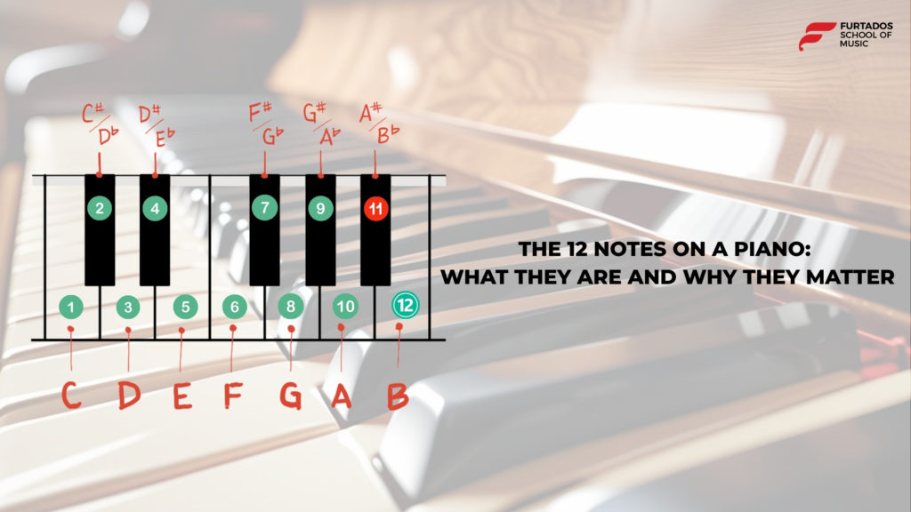 The 12 Notes on a Piano: What They Are and Why They Matter